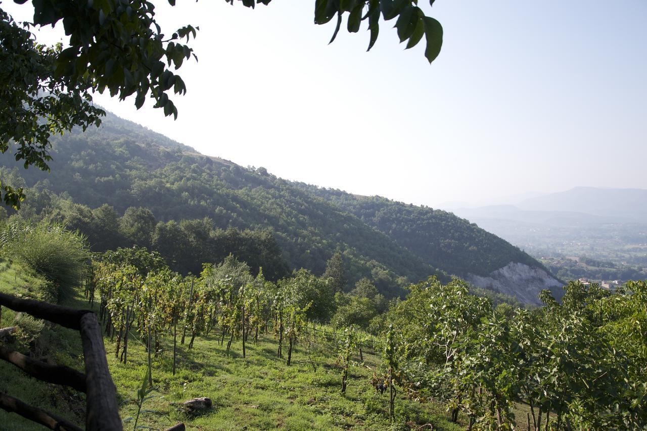 Fattoria Alvaneta Padula Kültér fotó