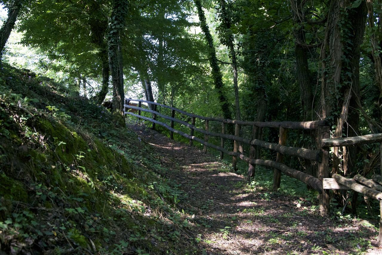 Fattoria Alvaneta Padula Kültér fotó