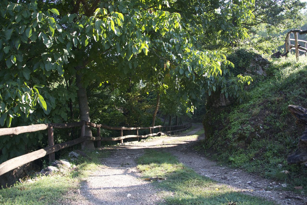 Fattoria Alvaneta Padula Kültér fotó