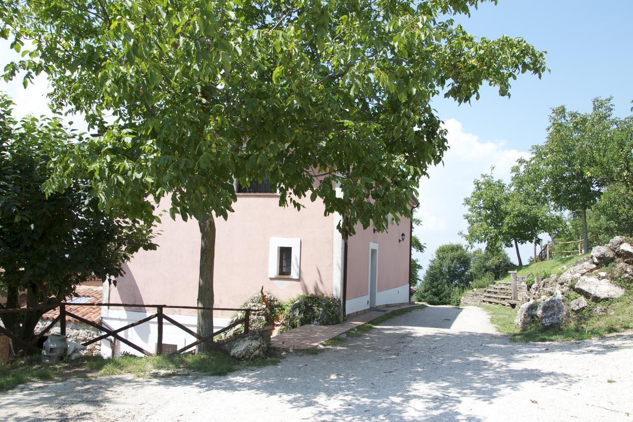 Fattoria Alvaneta Padula Kültér fotó