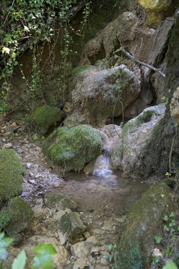 Fattoria Alvaneta Padula Kültér fotó